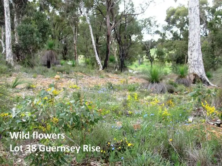 Fifth view of Homely land listing, Lot 38 Guernsey Rise, Lower Chittering WA 6084