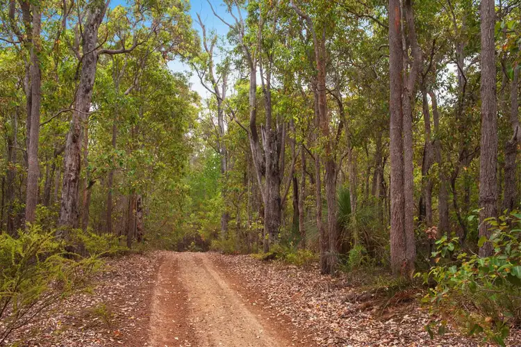 Fourth view of Homely house listing, 11664 Bussell Highway, Karridale WA 6288