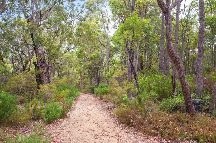 Seventh view of Homely house listing, 11664 Bussell Highway, Karridale WA 6288