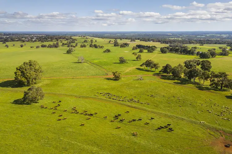 Lot 201, Sloans  Road, Ginginup WA 6503