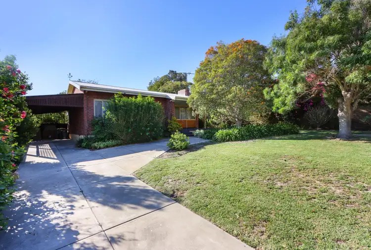 20 Halstead Street, Hamilton Hill WA 6163