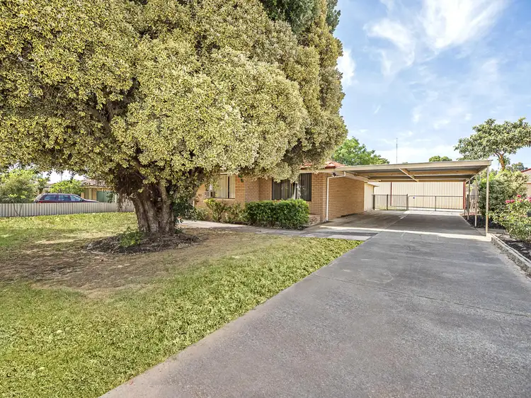24 Fitzpatrick Street, Waroona WA 6215