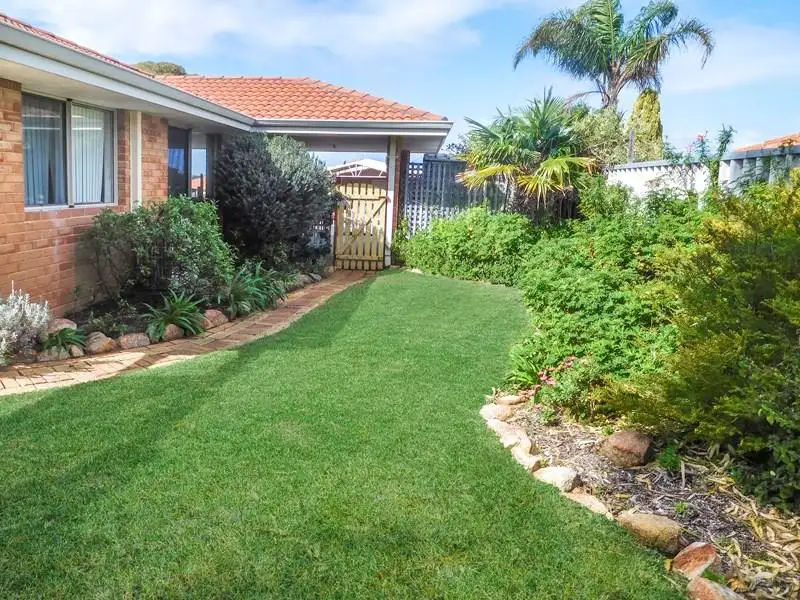 Main view of Homely house listing, 19 Haskell Gardens, Clarkson WA 6030