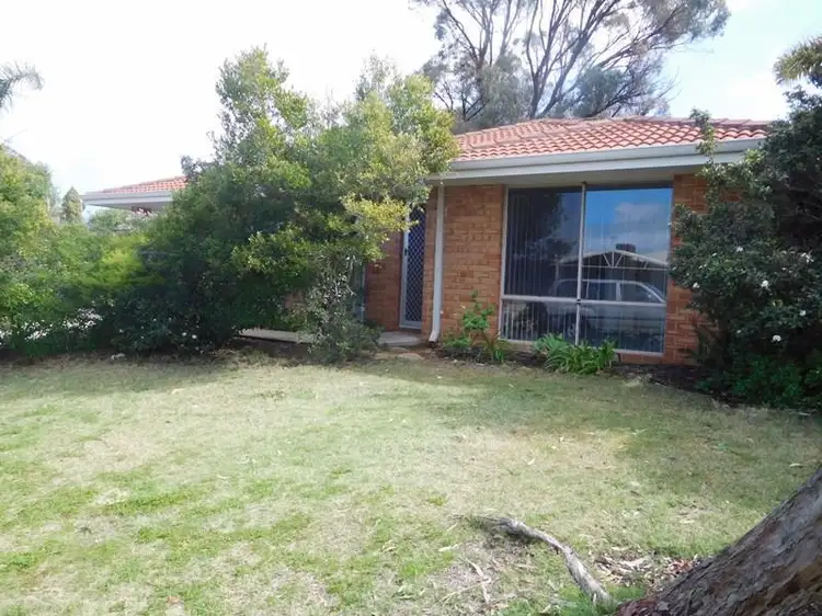 Third view of Homely house listing, 19 Haskell Gardens, Clarkson WA 6030