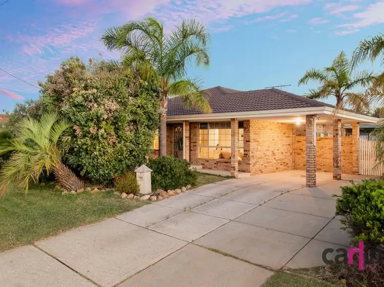 12 Torenia Way, Yangebup WA 6164