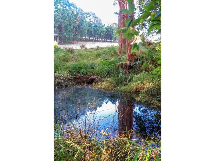 Seventh view of Homely land listing, 109 Zig Zag Rd, Kordabup WA 6333