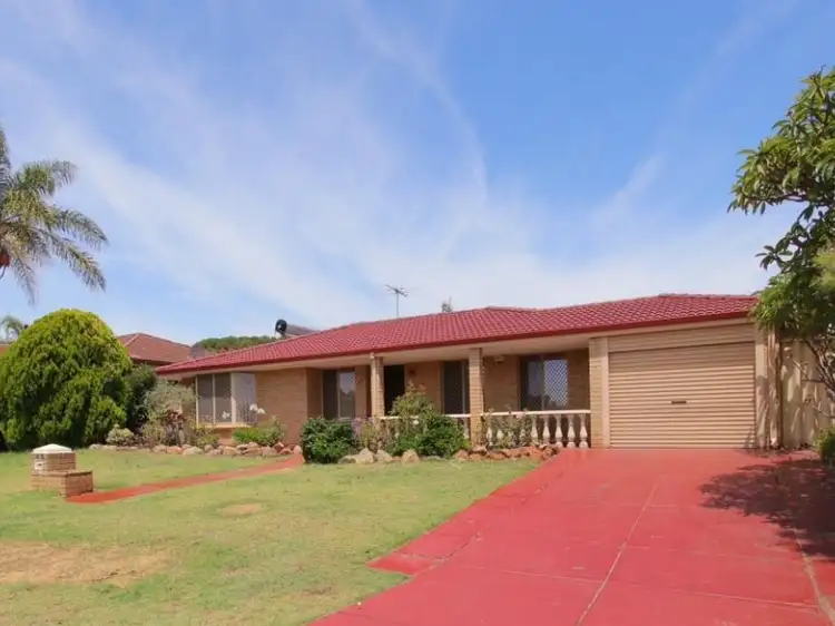 Main view of Homely house listing, 43 Ainslie Court, Kardinya WA 6163