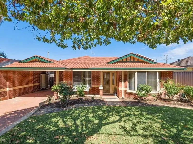 Main view of Homely house listing, 117A Herbert Street, Doubleview WA 6018