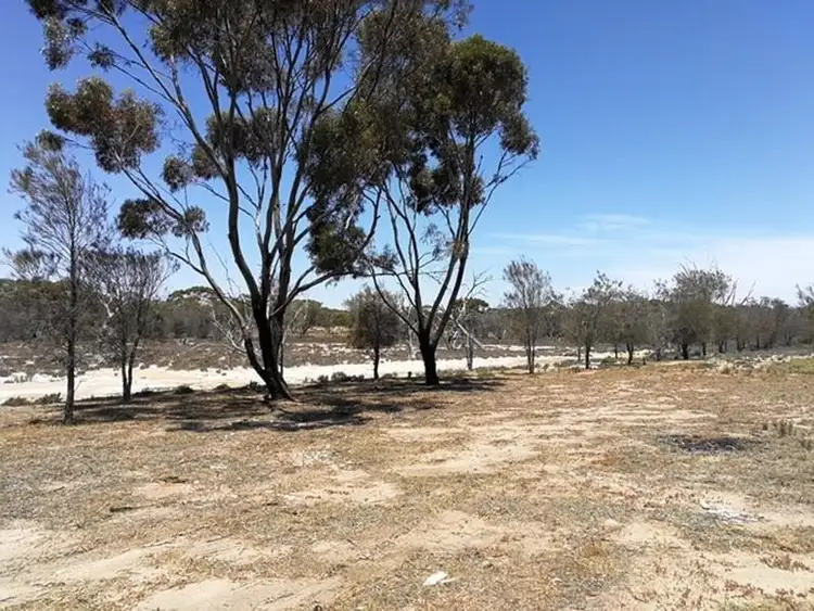 Second view of Homely land listing, 194 & 244 Ebsary Street, Dumbleyung WA 6350