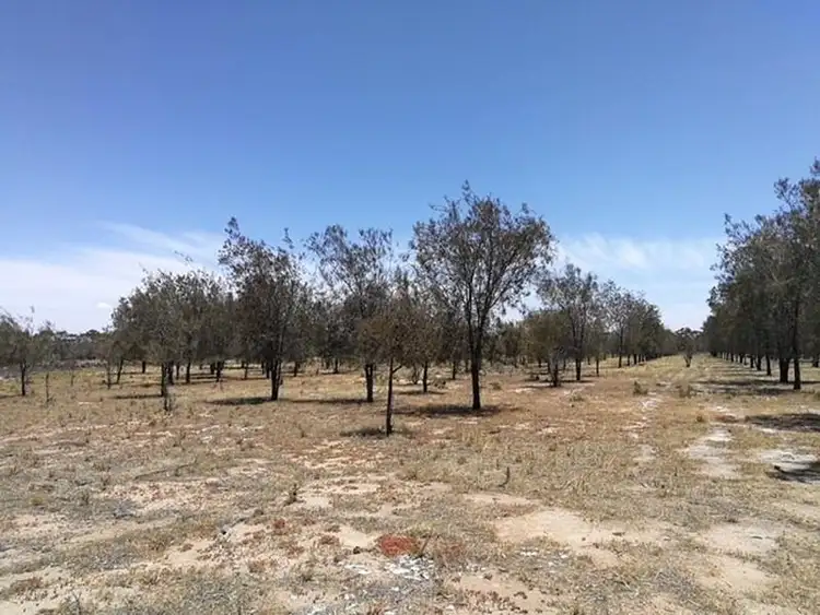 Fourth view of Homely land listing, 194 & 244 Ebsary Street, Dumbleyung WA 6350