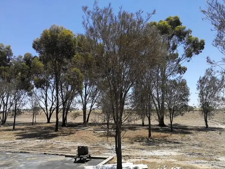 Fifth view of Homely land listing, 194 & 244 Ebsary Street, Dumbleyung WA 6350