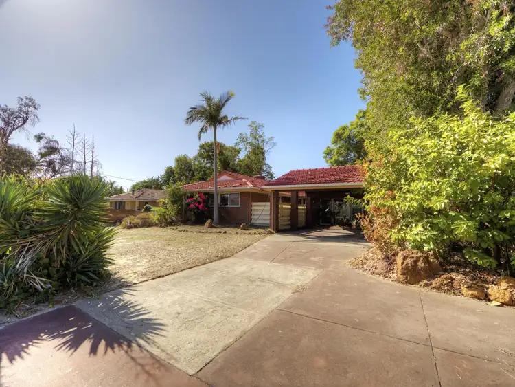 Main view of Homely house listing, 29 Strelitzia Avenue, Forrestfield WA 6058