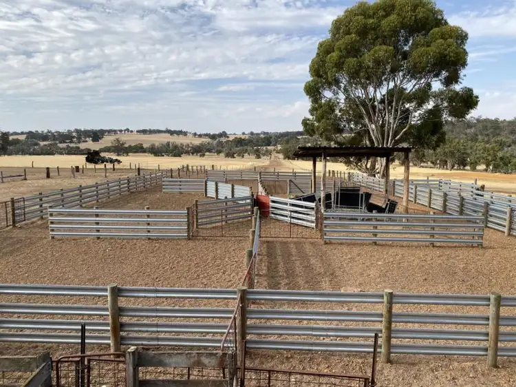 Second view of Homely rural property listing, 1661 Scotts Brook Road, Boyup Brook WA 6244