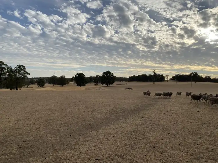 Fifth view of Homely rural property listing, 1661 Scotts Brook Road, Boyup Brook WA 6244