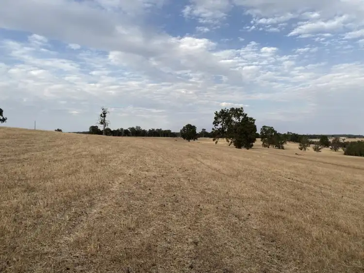 Sixth view of Homely rural property listing, 1661 Scotts Brook Road, Boyup Brook WA 6244