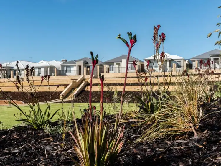 Lot 476, 10 Lisianthus Terrace, Beeliar WA 6164