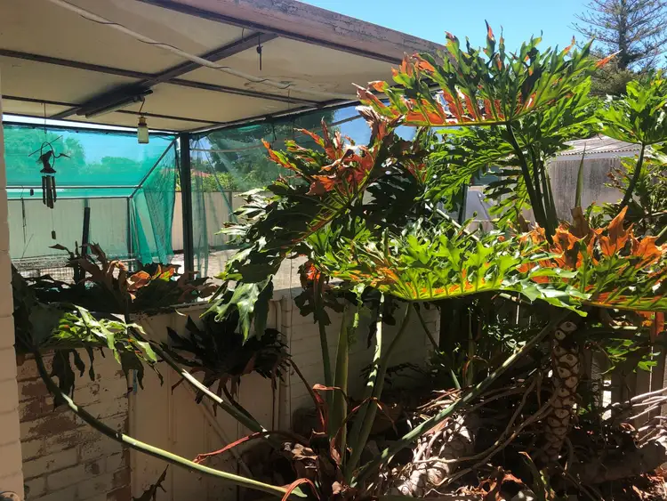 Second view of Homely house listing, 55 Morrison Street, Redcliffe WA 6104