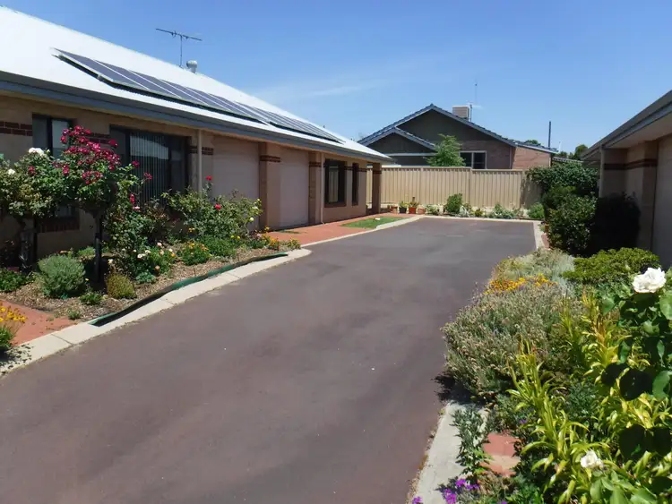 Second view of Homely unit listing, 1/6 Austin Street, South Bunbury WA 6230