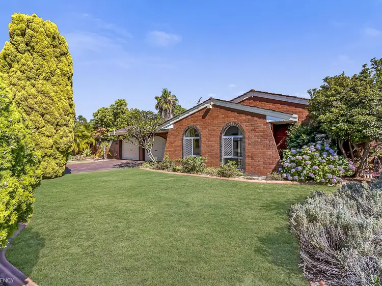 Main view of Homely house listing, 3 Adenandra Way, Greenwood WA 6024