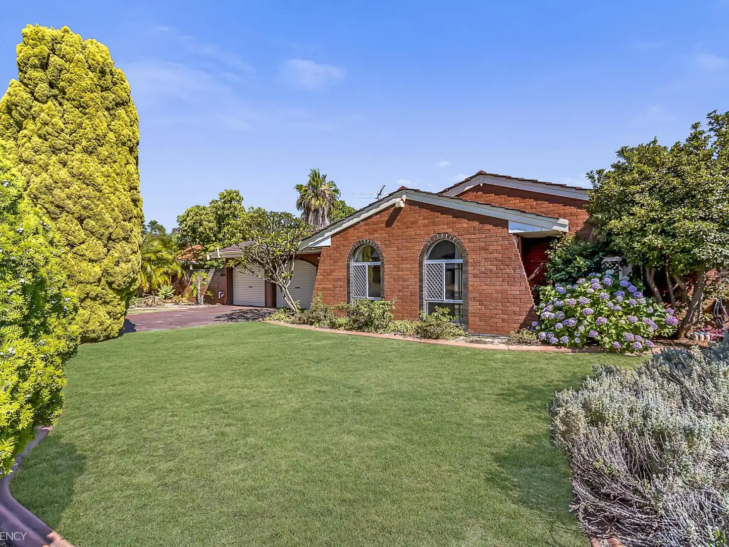 Main view of Homely house listing, 3 Adenandra Way, Greenwood WA 6024