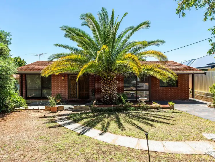 Main view of Homely house listing, 49 Knowles Street, Balcatta WA 6021