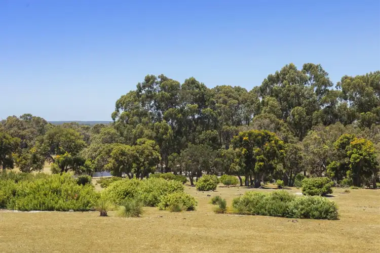 Seventh view of Homely rural property listing, 539 Bullant Drive, Karridale WA 6288