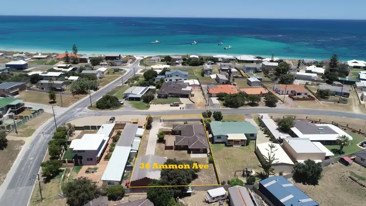36 Ammon  Avenue, Ledge Point WA 6043