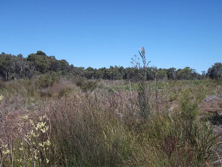 Fifth view of Homely rural property listing, 1117 Richardson Road, Northcliffe WA 6262