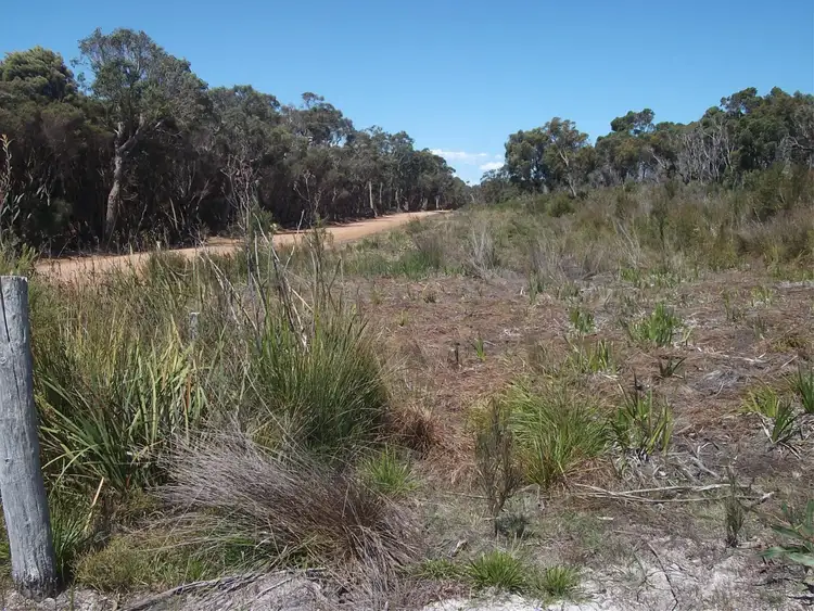 Sixth view of Homely rural property listing, 1117 Richardson Road, Northcliffe WA 6262