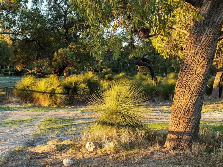 Main view of Homely land listing, Lot 30, Bushel Road, Serpentine WA 6125