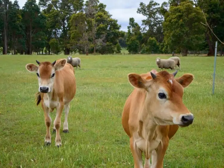 Sixth view of Homely house listing, Address available on request