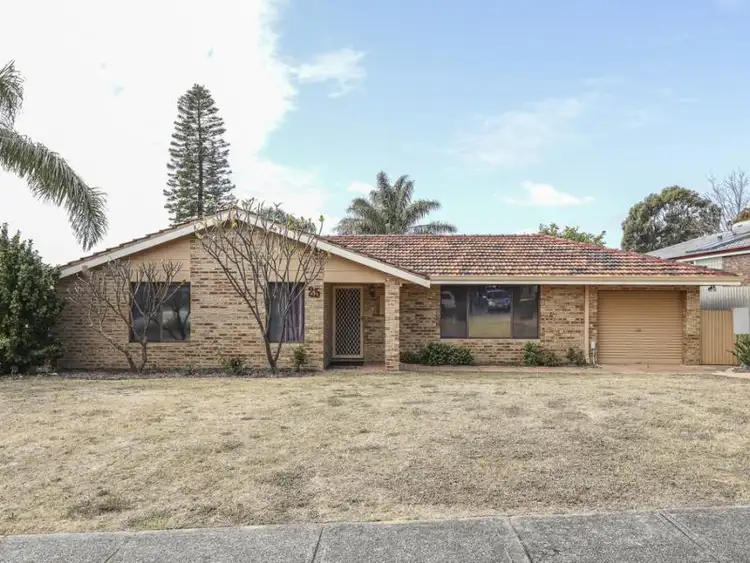 Main view of Homely house listing, 25 Leicester Square, Alexander Heights WA 6064