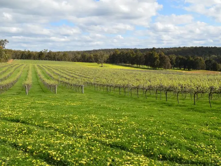 Fourth view of Homely rural property listing, 80 Press Road, Bridgetown WA 6255