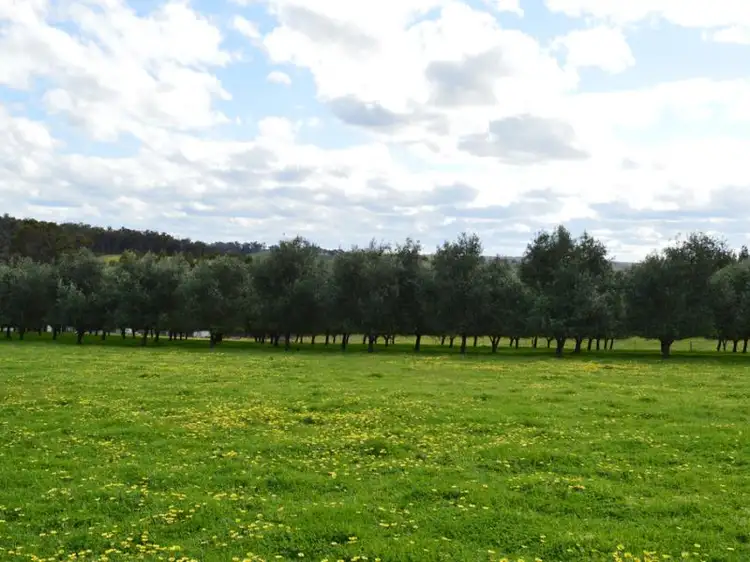 Fifth view of Homely rural property listing, 80 Press Road, Bridgetown WA 6255