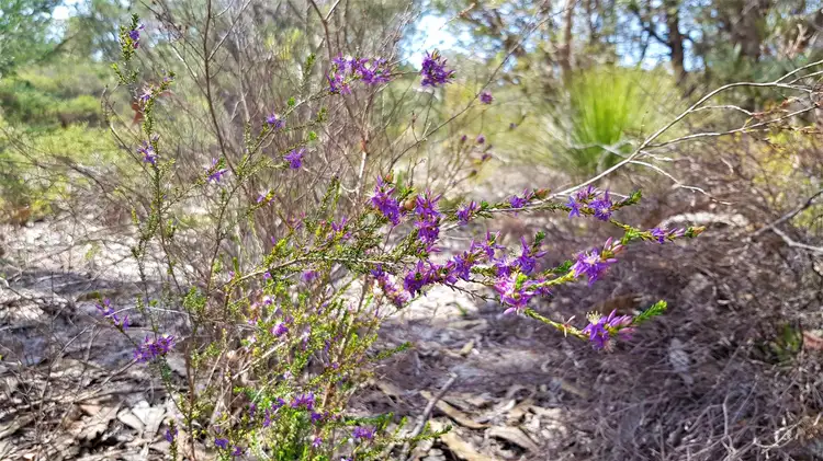 Fifth view of Homely land listing, 92 Ghost Gum Ridge, Chittering WA 6084