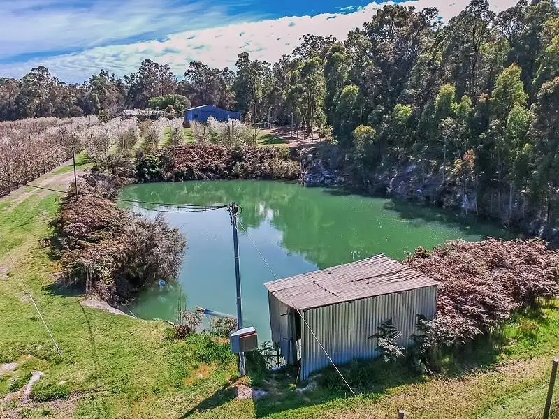 Main view of Homely rural property listing, 25 Farina Road, Jarrahdale WA 6124