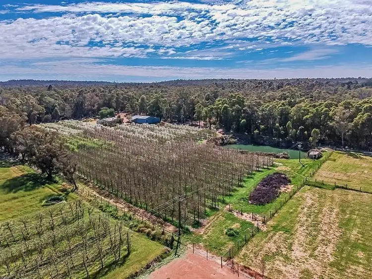 Second view of Homely rural property listing, 25 Farina Road, Jarrahdale WA 6124