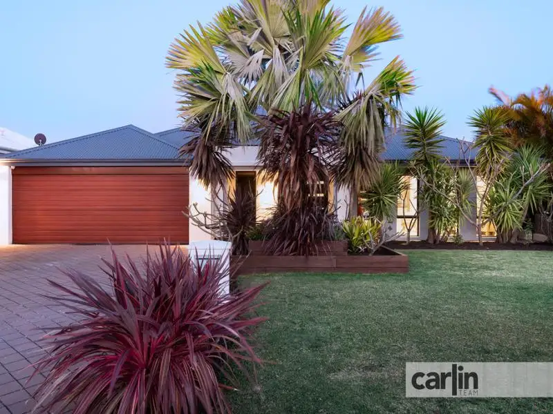 Main view of Homely house listing, 22 Swallowtail Avenue, Success WA 6164