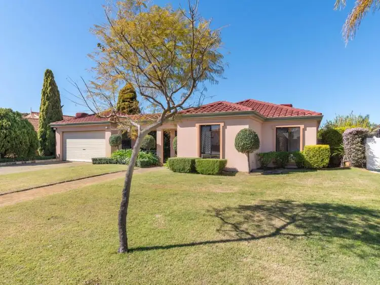 Main view of Homely house listing, 47 Eucalyptus Boulevard, Canning Vale WA 6155