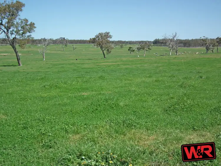Sixth view of Homely rural property listing, 331 Mawson Road, Napier WA 6330