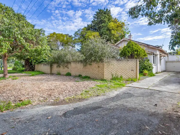 61 Williams Road, Nedlands WA 6009
