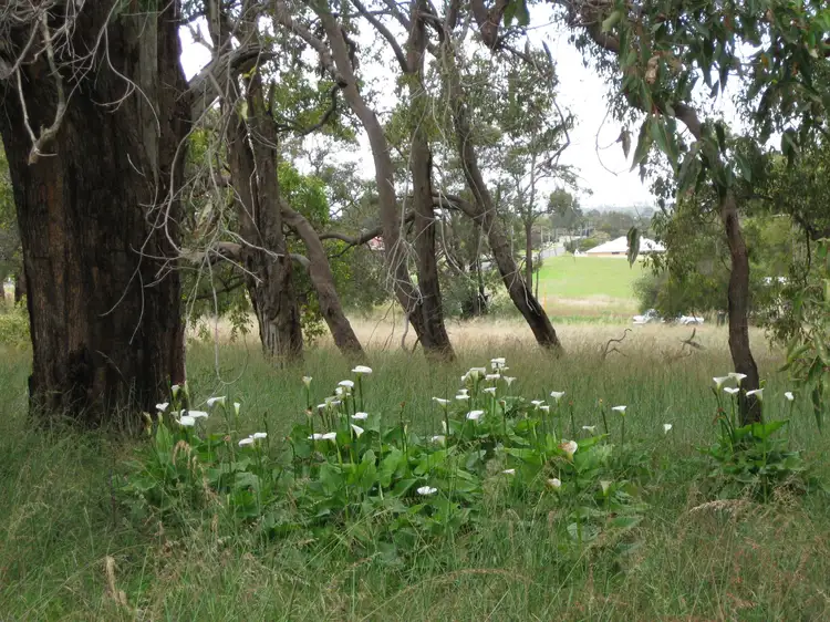 Third view of Homely land listing, Lot 358, 5 Cheriton Road, Gingin WA 6503
