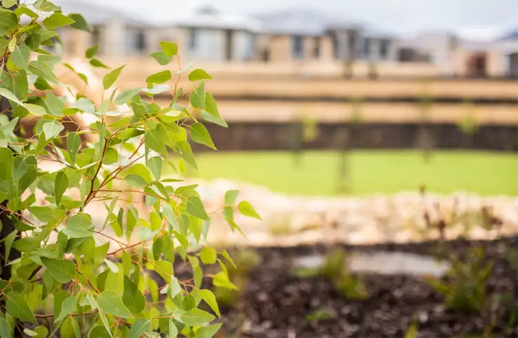 Third view of Homely land listing, Lot 526, 19 Delphinium Way, Beeliar WA 6164