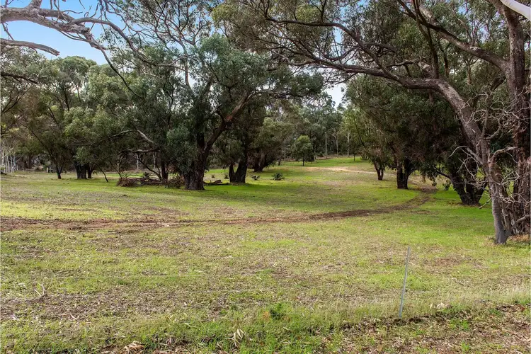 Sixth view of Homely rural property listing, 23 Beonaddy Road, Eglinton WA 6034