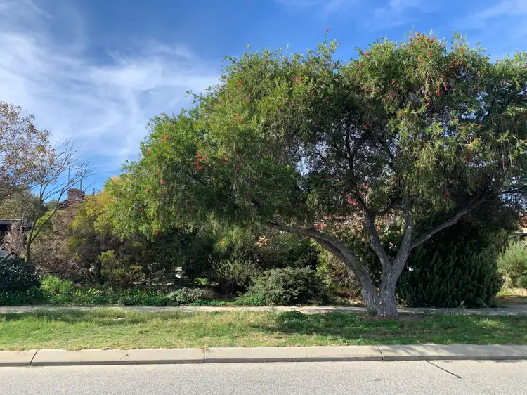 Main view of Homely land listing, 14B Constance street, Yokine WA 6060