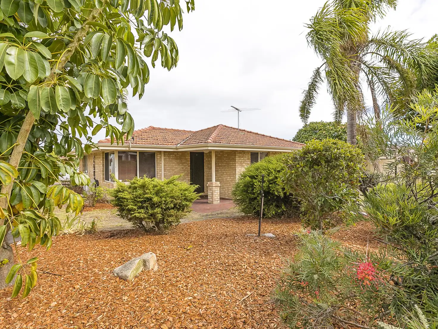 Main view of Homely villa listing, 1 Montrose Way, Nollamara WA 6061