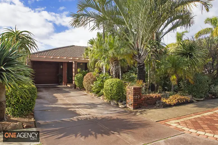 Main view of Homely house listing, 20 Brolga Way, Stirling WA 6021