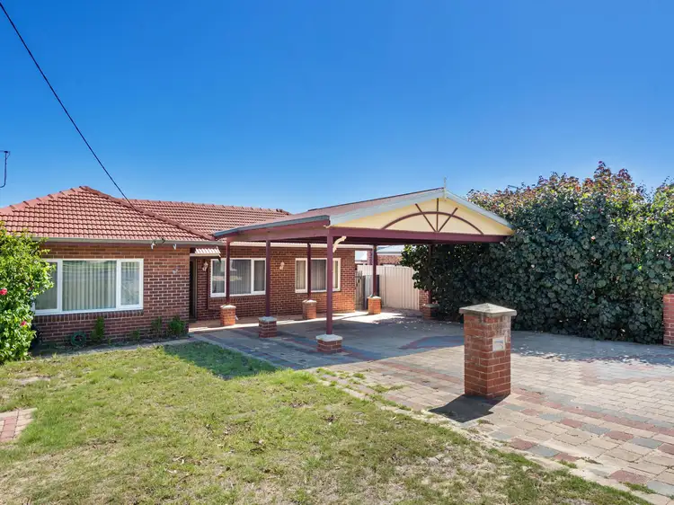 Main view of Homely house listing, 67 Carcoola Street, Nollamara WA 6061
