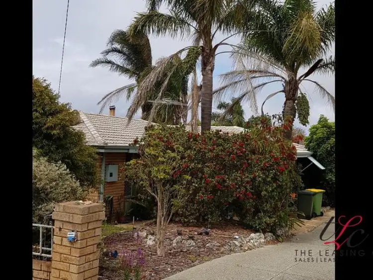 Second view of Homely house listing, 240 Yangebup Road, Yangebup WA 6164