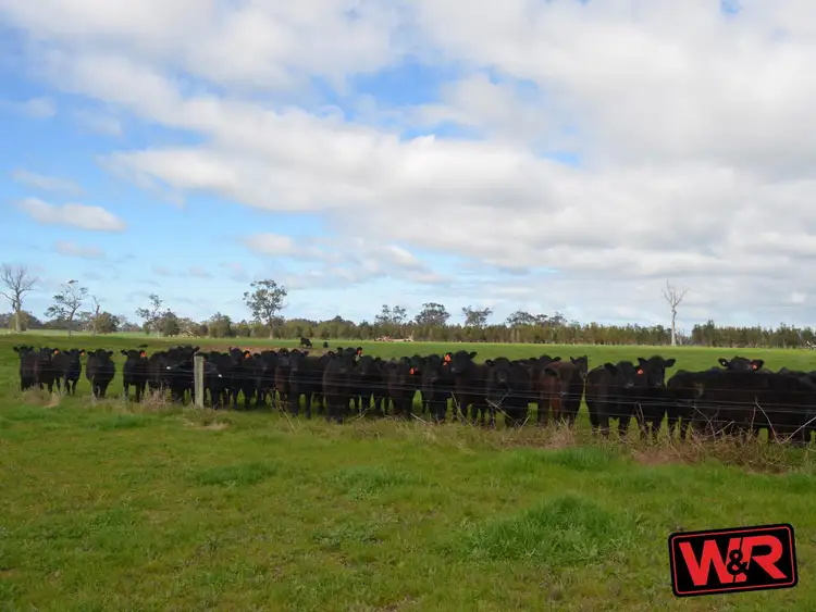 Fourth view of Homely rural property listing, Lot 5655 Yellanup Road, Narrikup WA 6326